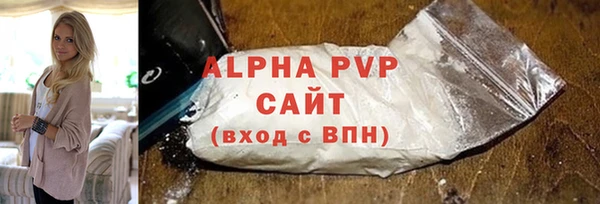 сатива Няндома