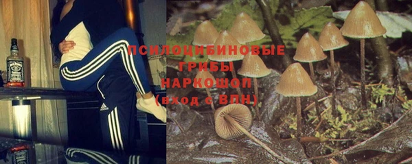 гидра Алзамай