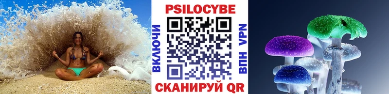 Галлюциногенные грибы прущие грибы  Тамбов 