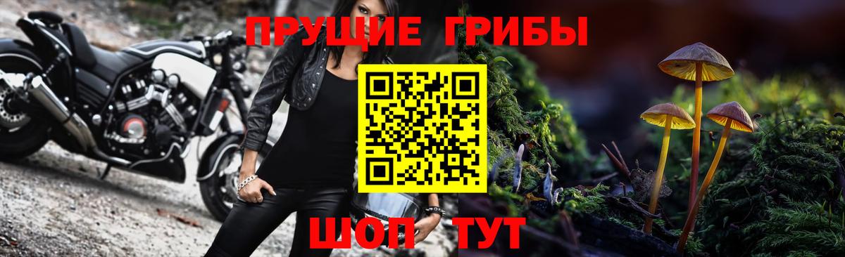 Псилоцибиновые грибы GOLDEN TEACHER  Псилоцибиновые грибы Psilocybine cubensis  продажа наркотиков  Тамбов  Вход с VPN 