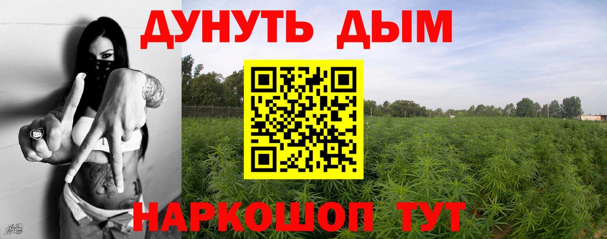 Тамбов  МАРИХУАНА LSD WEED  Вход с VPN  Канабис гибрид  Канабис THC 21%  Каннабис VHQ 